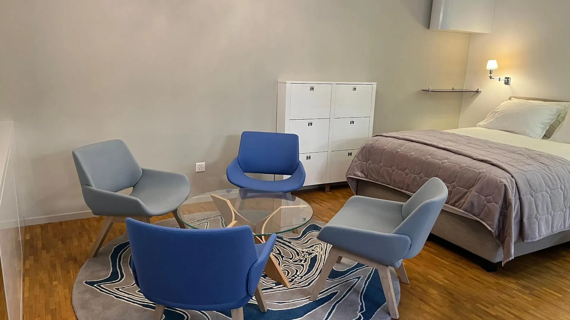 Beautiful New Studio, Geneva City Centre Svizzera
